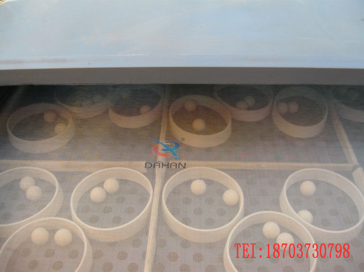 直線篩分機彈跳球 直線篩分機彈跳球